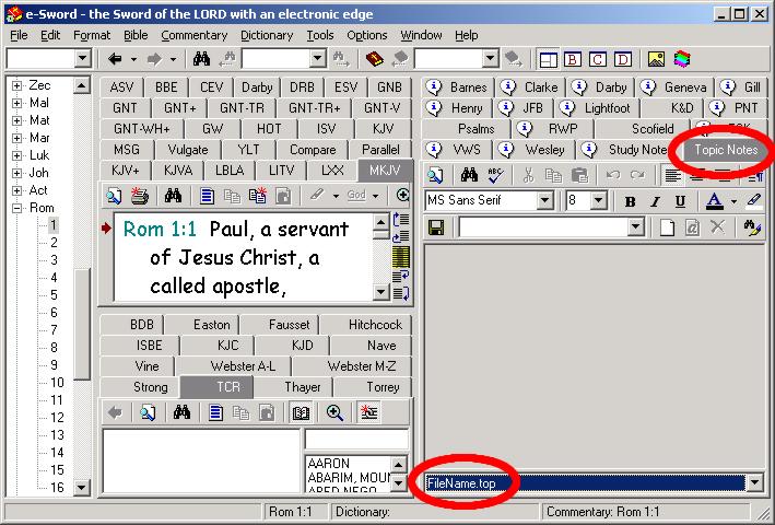 Open e-Sword Topic Notes